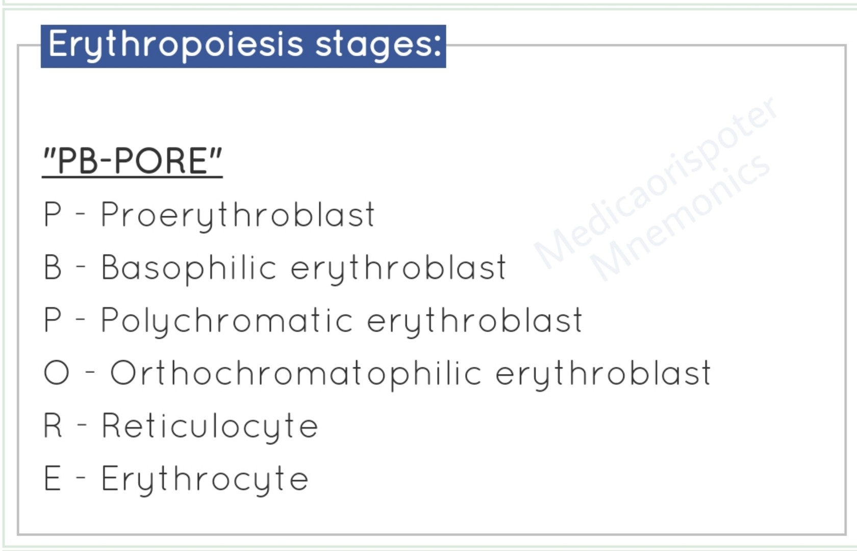 Stages of Erythropioesis