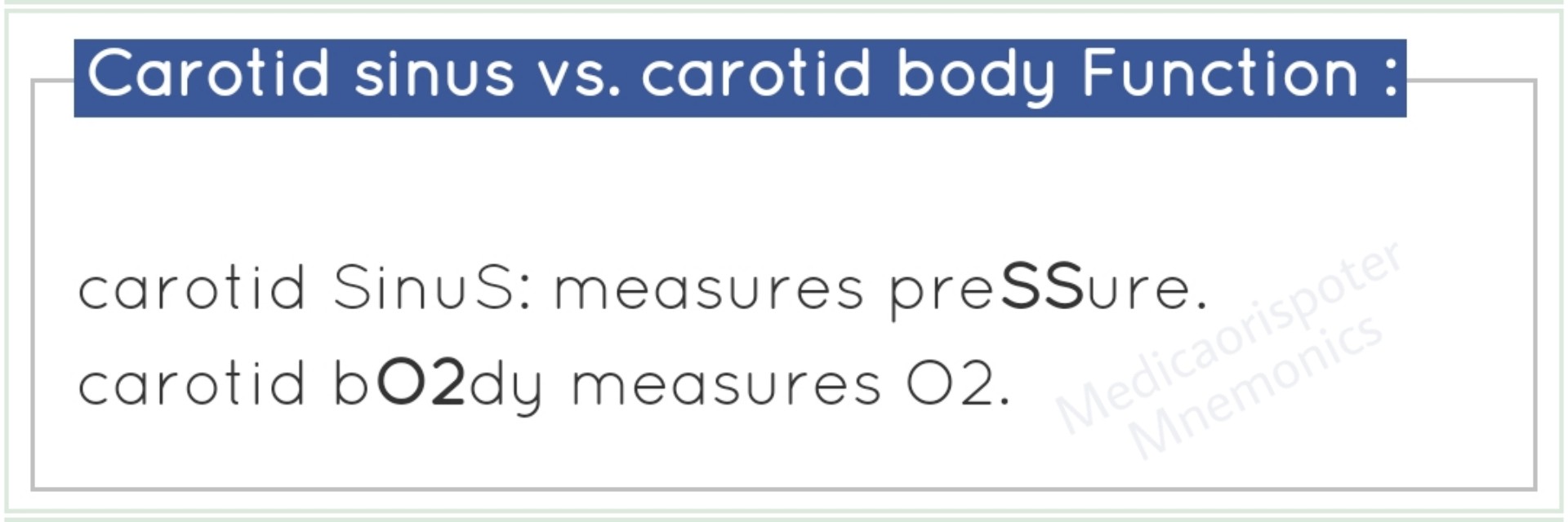 Carotid Sinus Vs Carotid Body Functions