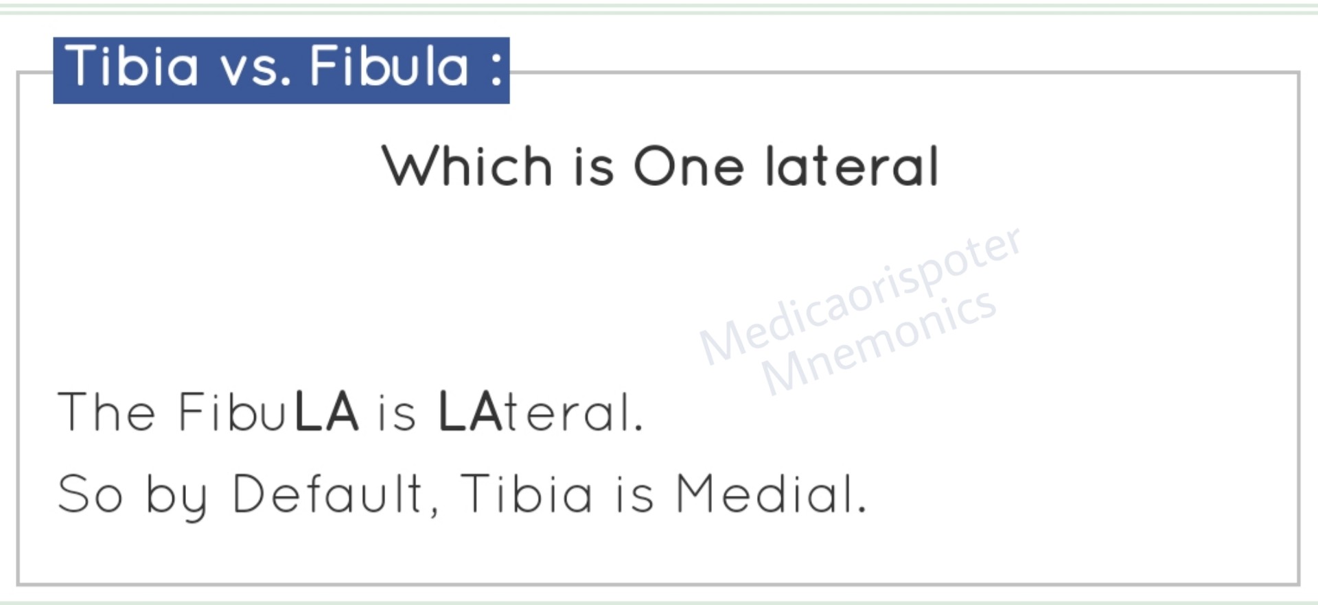 Tibia vs Fibula Which is Lateral