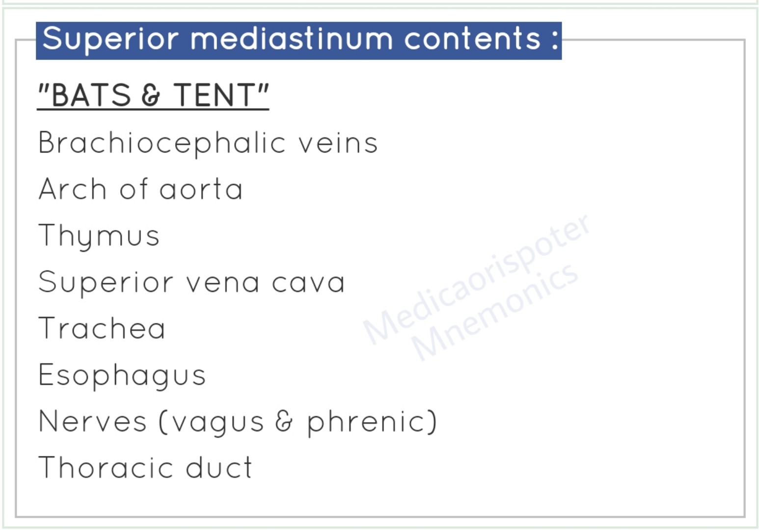 Contents of Superior Mediastenum