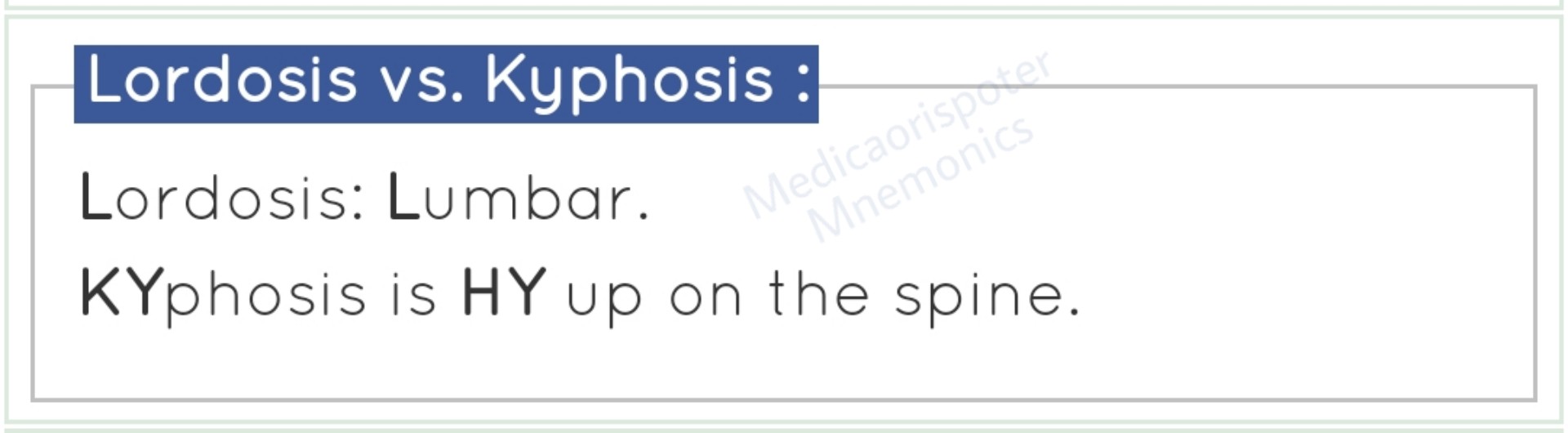 Lordosis vs Kyphosis