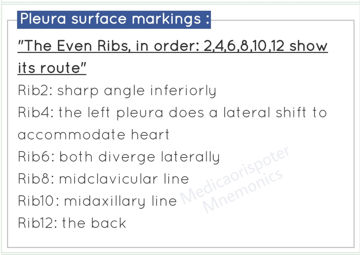 Pleura Surface Marking